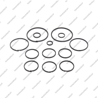 Комплект уплотнительных колец (13шт.)