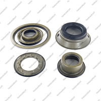 Комплект поршней (5шт., обрезиненные, без 2 поршней сервоприводов)